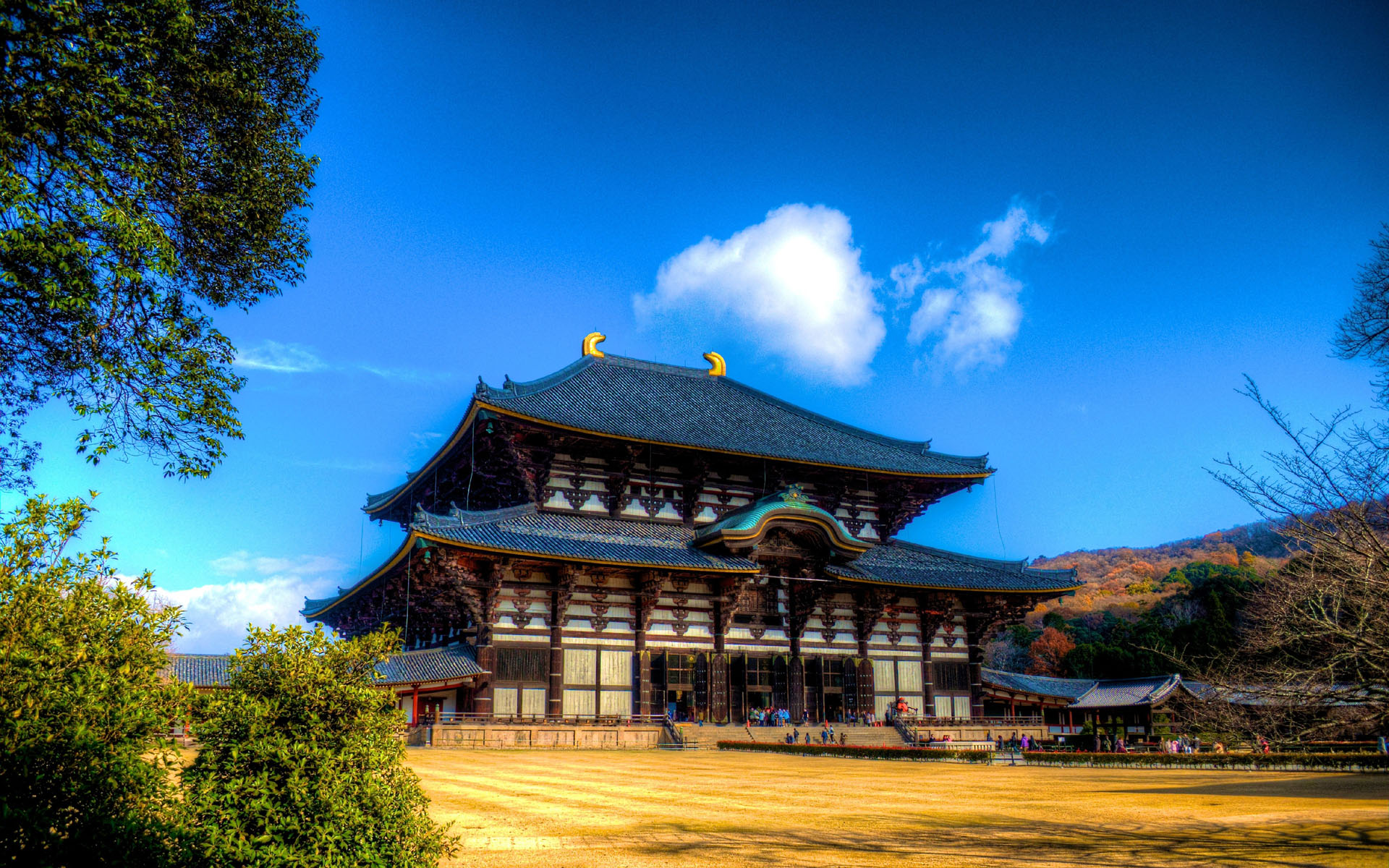 奈良唐招提寺中日文明交流史上的浓墨重彩